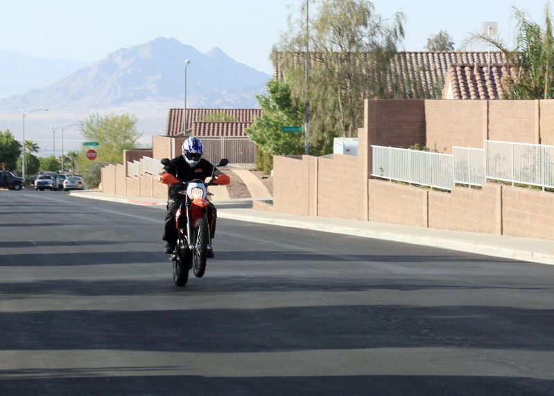 dual sport low seat height